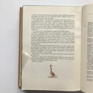 Přes Kordillery, Jiří Hanzelka, Miroslav Zikmund