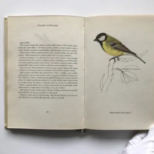 Ptáci, Karel Svolinský, Jaroslav Spirhanzl-Duriš