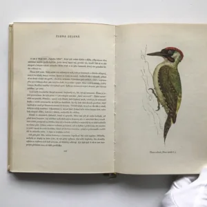 Ptáci, Karel Svolinský, Jaroslav Spirhanzl-Duriš