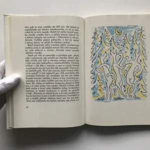 Devatero pohádek a ještě jedna jako přívažek od Josefa Čapka, Karel Čapek, Josef Čapek