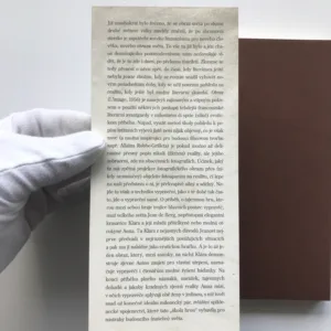 Obraz, Jean de Berg, Dušan Ždímal