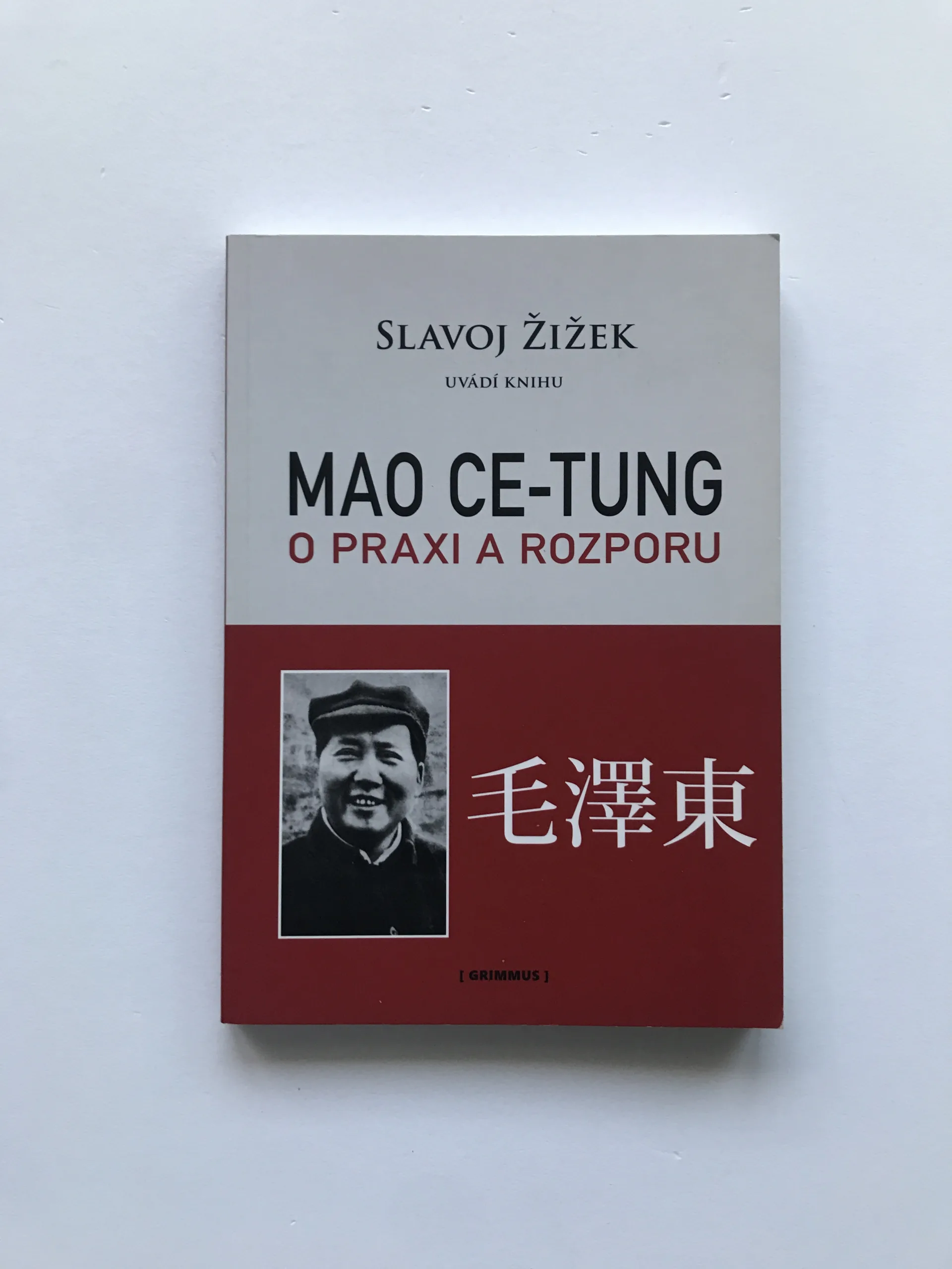 Mao Ce-tung o praxi a rozporu, Slavoj Žižek