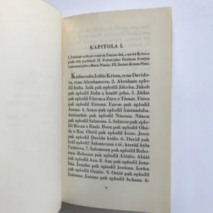 Evangelium sv. Matouše z bible Svatováclavské