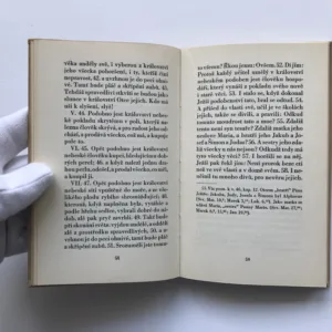 Evangelium sv. Matouše z bible Svatováclavské