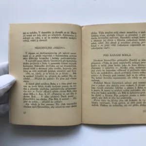 Marie Gorettiová, Domenico Mondrone