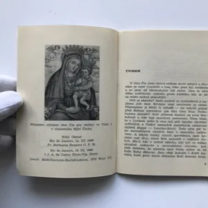 Stigmatisovaný Otec Pius, Karl Wagner