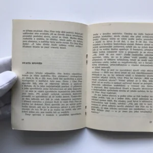 Stigmatisovaný Otec Pius, Karl Wagner