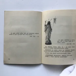 Stigmatisovaný Otec Pius, Karl Wagner