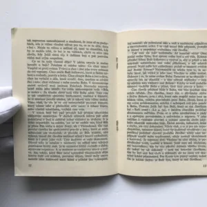 Odpůrce, Romano Guardini