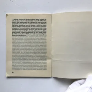 Odpůrce, Romano Guardini