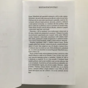 Vážka v jantaru, Diana Gabaldon