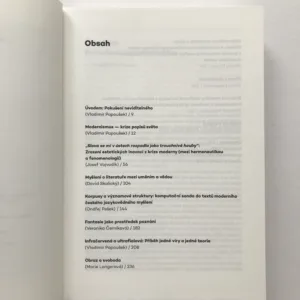 Pokušení neviditelného (Myšlení moderny), Vladimír Papoušek, kolektiv autorů