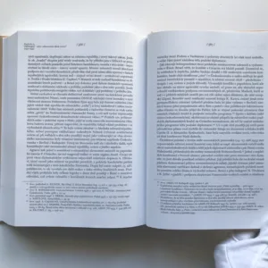 Edvard Beneš – Politická biografie českého demokrata I. – Revolucionář a diplomat (1884-1935), Jindřich Dejmek