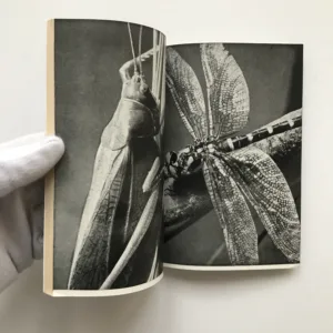 Amatér mezi rostlinami a zvířaty, Ferdinand Bučina