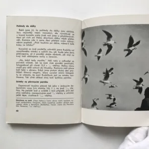 Fotografování na cestách, Hellmuth Lange