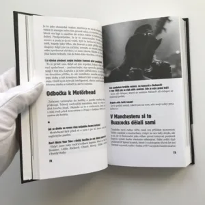 No Future! (Kapitoly o britském punku), Alex Švamberk