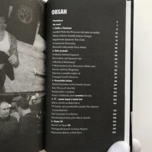 No Future! (Kapitoly o britském punku), Alex Švamberk