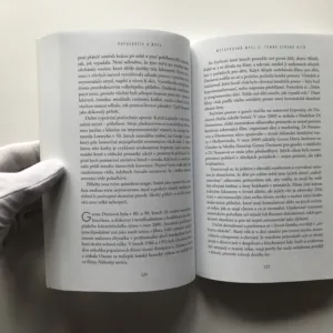 Hitmakeři (Tajemství popularity v éře rozptylování), Derek Thompson