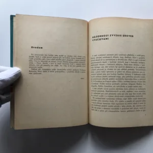 Nástěnný obraz v hodinách cizojazyčného vyučování, Dušan Josef