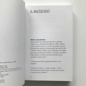 Nikdy nic nebylo, Tomáš Belko