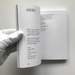 Nikdy nic nebylo, Tomáš Belko