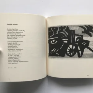 Kolikrát přešel mrak (Juvenilie z let 1945-1949), Pavel Kohn