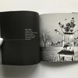 Přechody ztracených řek, Jiří Kukaň, Miroslav Huptych