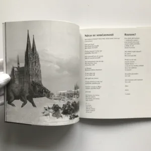 Anděl s černým křídlem, Alois Marhoul, Miroslav Huptych