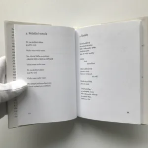 Papírové polobotky, Pavel Šrut