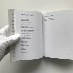 Papírové polobotky, Pavel Šrut