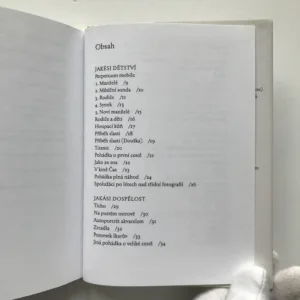 Papírové polobotky, Pavel Šrut