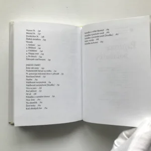 Papírové polobotky, Pavel Šrut