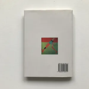 Papírové polobotky, Pavel Šrut