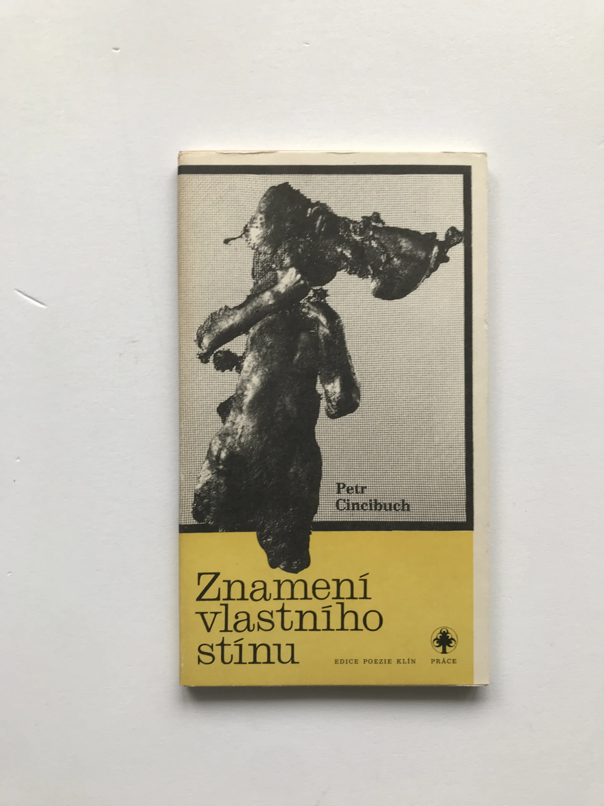 Znamení vlastního stínu, Petr Cincibuch