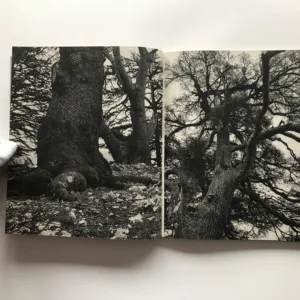 Libanon – Sekunden und Jahrhunderte, Luděk Pešek