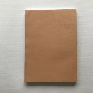 Česká divadla 1992-1993, Dagmar Kavanová, Iva Frelová, Zuzana Jindrová