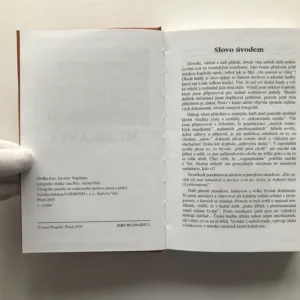 Nejen za vesnickými muzikanty, Josef Pospíšil