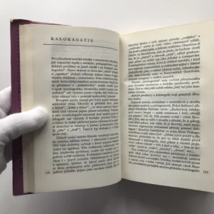 Dějiny estetických kategorií, A. F. Losev, V. P. Šestakov