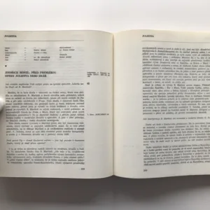 Divadlo Bohuslava Martinů, Miloš Šafránek