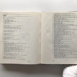 Divadlo Bohuslava Martinů, Miloš Šafránek