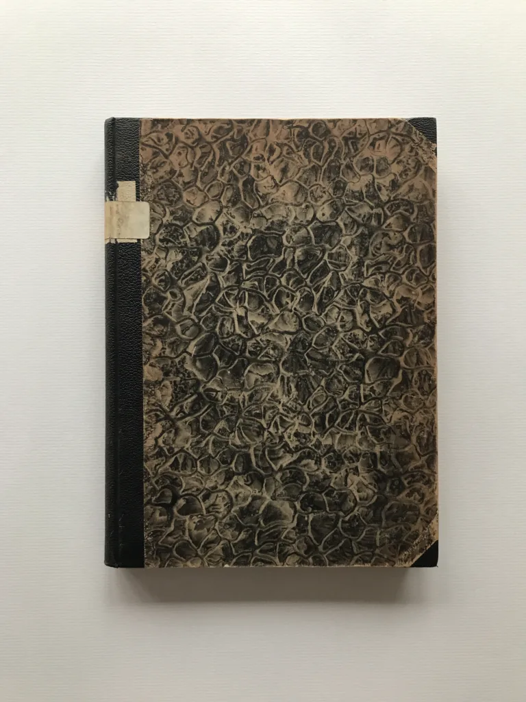 Nové české divadlo 1918-1926 (Sborník Dramatického svazu), Josef Kodíček, Miroslav Rutte, Vlastislav Hofman, Bedřich Feuerstein, Josef Čapek