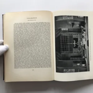 Nové české divadlo 1918-1926 (Sborník Dramatického svazu), Josef Kodíček, Miroslav Rutte, Vlastislav Hofman, Bedřich Feuerstein, Josef Čapek