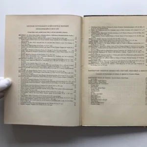 Nové české divadlo 1918-1926 (Sborník Dramatického svazu), Josef Kodíček, Miroslav Rutte, Vlastislav Hofman, Bedřich Feuerstein, Josef Čapek