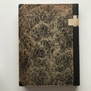 Nové české divadlo 1918-1926 (Sborník Dramatického svazu), Josef Kodíček, Miroslav Rutte, Vlastislav Hofman, Bedřich Feuerstein, Josef Čapek