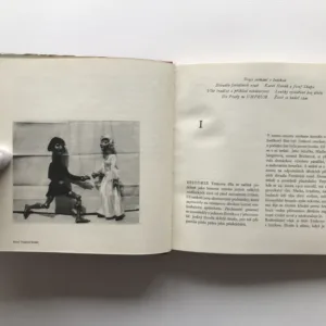 Jiří Trnka (Historie díla a jeho tvůrce), Jaroslav Boček