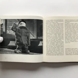 Jiří Trnka (Historie díla a jeho tvůrce), Jaroslav Boček