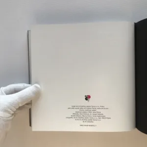 Pražský chodec, Jiří Všetečka