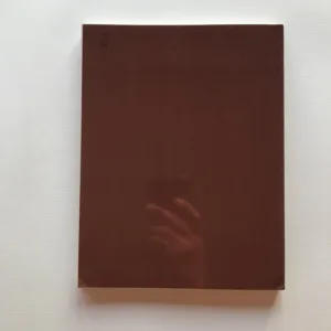 Two Centuries of Black American Art, David C. Driskell, Leonard Simon