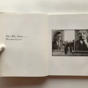 Nepolepšitelná víra v lepší budoucnost, Dana Kyndrová