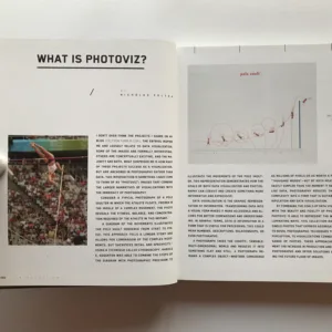 Photoviz (Visualizing Information Through Photography), Nicholas Felton